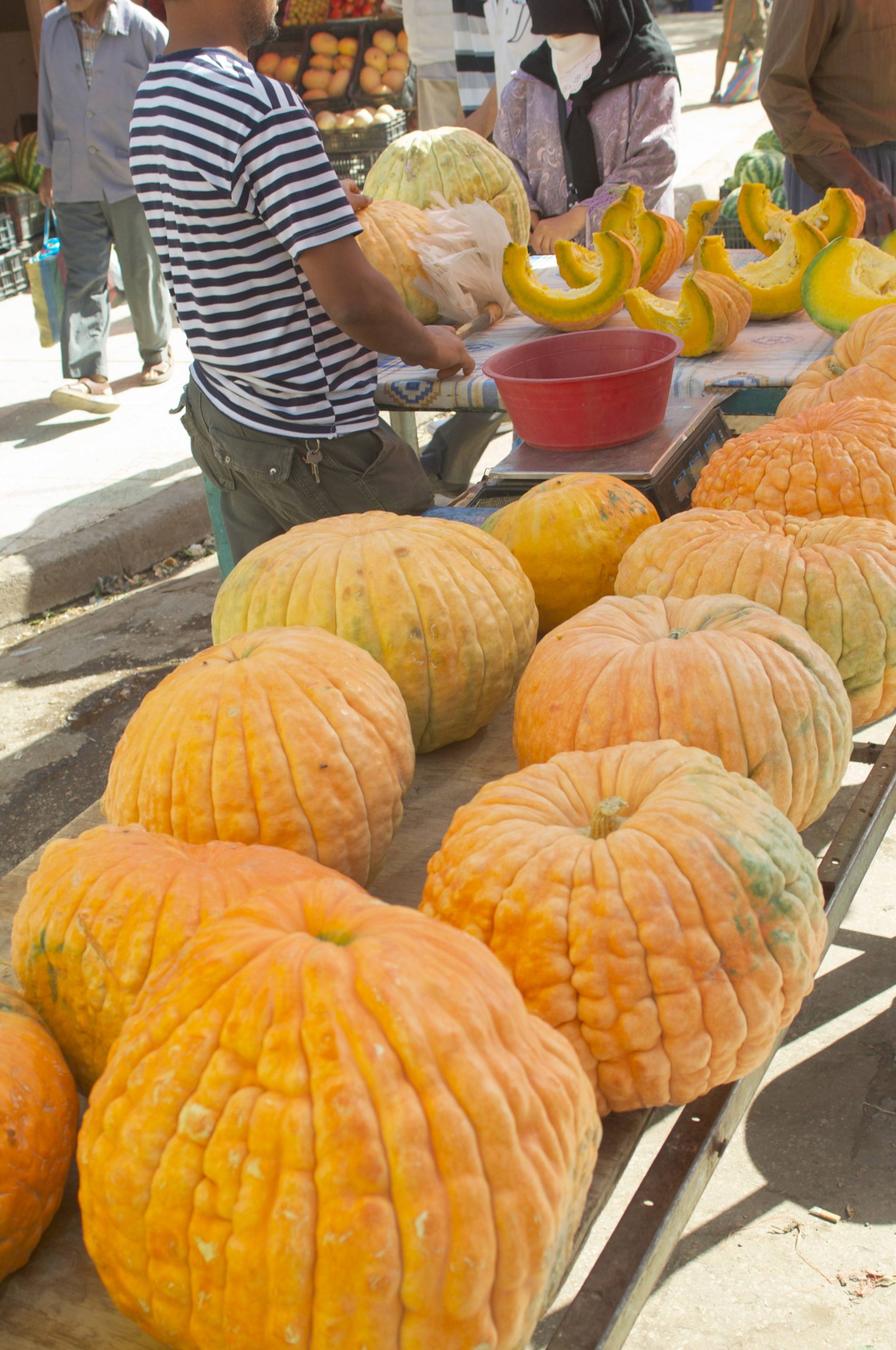 Laghouat-marché-019
