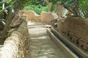 Laghouat-palmerais-vieux-paysan-004