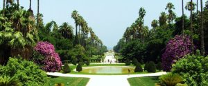 jardin-essai-alger