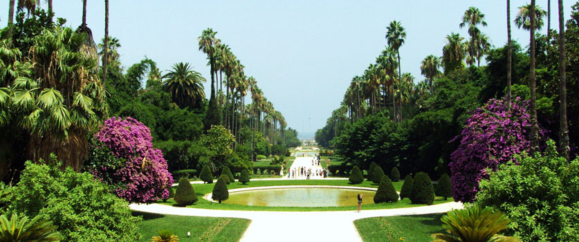 jardin-essai-alger