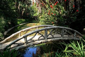 jardin-essai-alger2