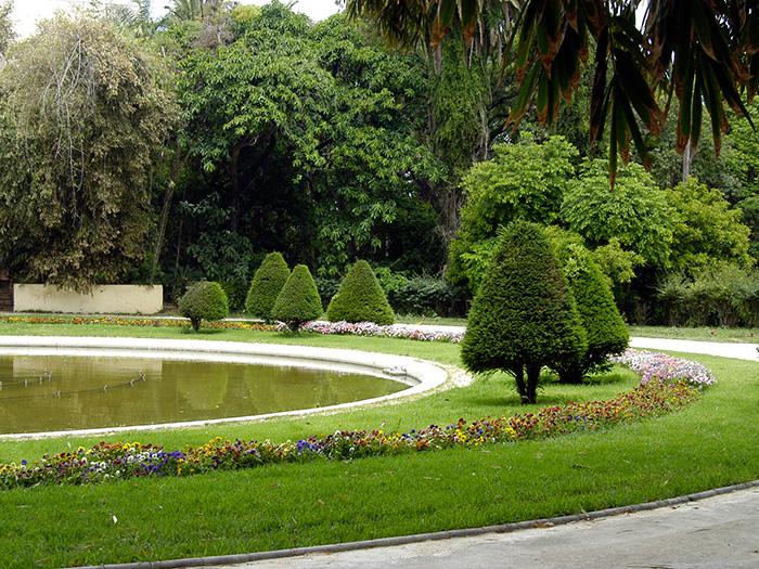 jardin